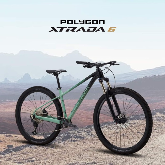 MTB Polygon Xtrada