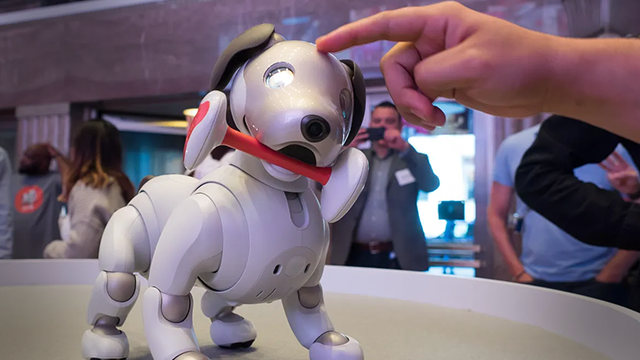 Aibo Robot Dog